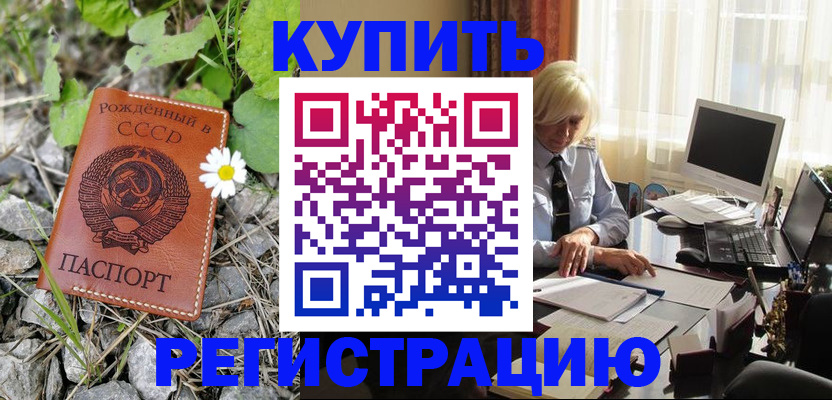 временная регистрация поиск в Коле
